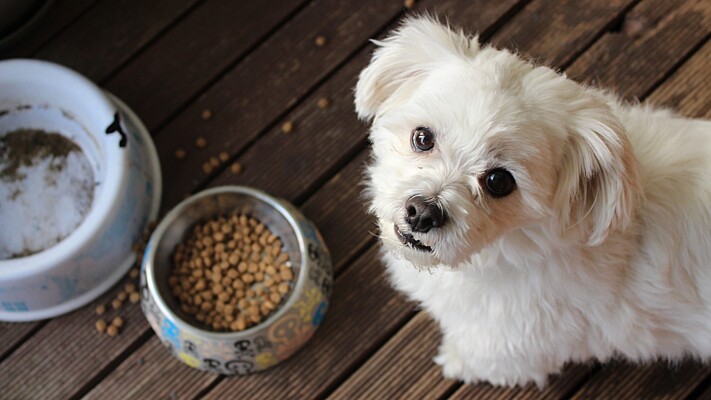 Nestle