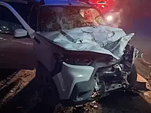 В Самарской области на трассе М5 столкнулись грузовик и "Нива"