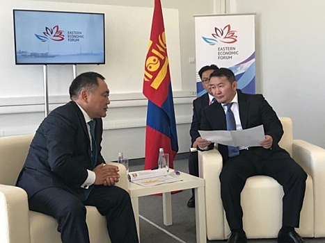 Донской: Монголия хочет создать с Россией ряд совместных предприятий в сфере АПК
