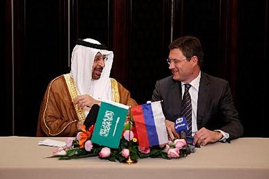 Россия и Саудовская Аравия наметили направления сотрудничества