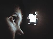Злосчастно-партнерские отношения: учредителей «Окна-Эталон» обвинили в мнимой сделке