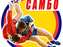 Спортсмены из Некрасовки отличились на соревнованиях по самбо
