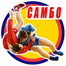 Спортсмены из Некрасовки отличились на соревнованиях по самбо
