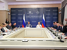 Игорь Мартынов принял участие в заседании Президиума Совета законодателей