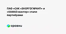 ПАО «САК «ЭНЕРГОГАРАНТ» и «КАМАЗ-мастер» стали партнёрами