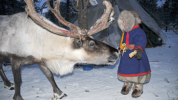 Жители Ноябрьска могут получить премию за сохранение традиций коренных северян