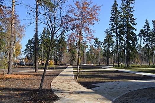 Гостей Пестовского парка в Балашихе ждут викторины и спортивные турниры 14 сентября