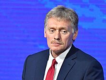 Путину доложили о статье Суркова