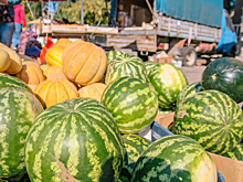 В Самаре пересмотрят схему размещения точек с арбузами
