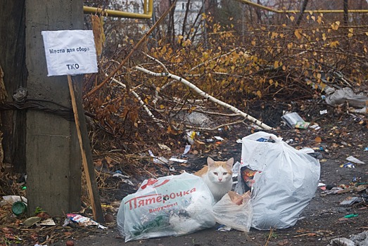 Отели России просят избавить их от мусорных поборов
