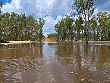 79-летний мужчина пропал без вести после падения в реку в Западной Австралии
