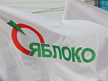 В офис саратовского «Яблока» пришла полиция