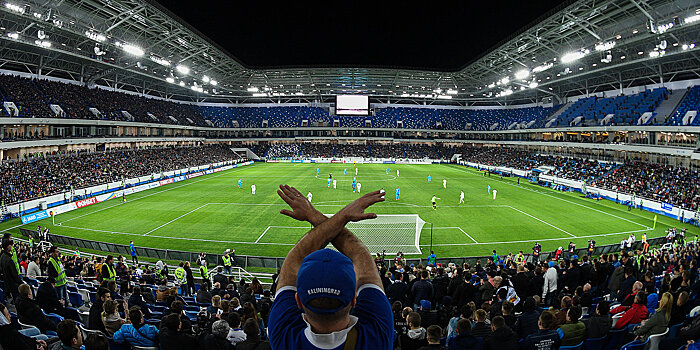 На стадионе в Калининграде за 20 млн рублей поменяют газон в технической зоне