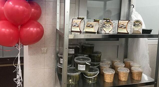В Ярославской области открыли новый сельский заготпункт по овощам и дикоросам