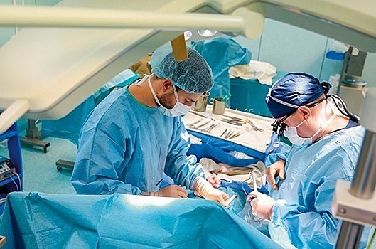 Закон о пересадке органов защитит пациентов и облегчит работу врачам