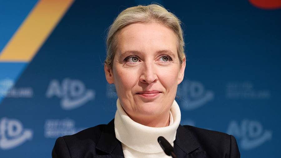 Рейтинг ультраправой немецкой партии взлетел до исторического максимума