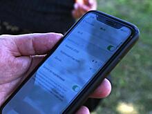 Моментально поделиться фотографиями и «stories» можно в бесплатной Wi-Fi зоне на площади Революции