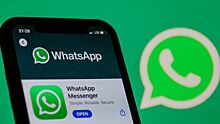 Пользователей WhatsApp ждет сюрприз