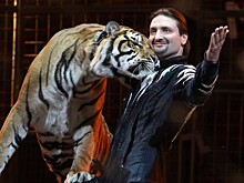 Эдгард Запашный не считает тигра виноватым в недавней трагедии