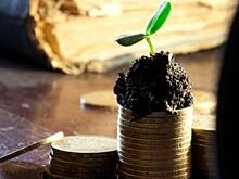 Против многодетных. Зачем земельные участки хотят заменить выплатами?