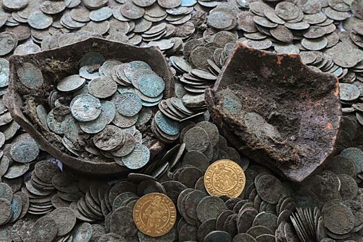 В Словакии кабаны откопали сокровища XVI века