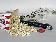 В Северном округе реконструируют два кинотеатра