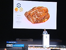 Кто не жалеет денег на уникальные янтарные самородки?