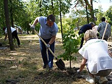 В рамках акции "Сад памяти" в Карелии посажено 27-миллионное дерево