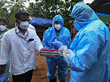 Эпидемия на реке Нипах. История смертельного вируса и прогнозы на новый виток заболевания