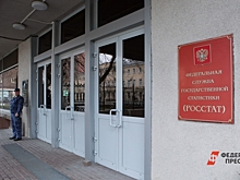 В Росстате объяснили, какие данные собирают в Донбассе и Новороссии
