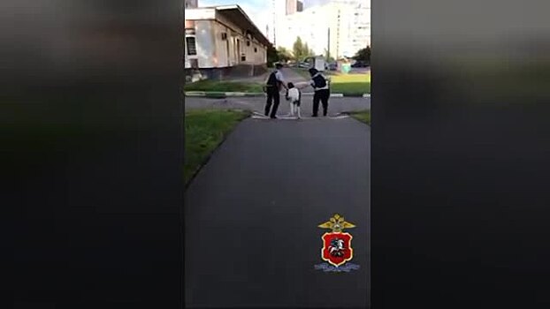 Поимка пони полицейскими в Москве попала на видео