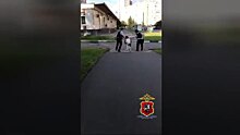 Поимка пони полицейскими в Москве попала на видео