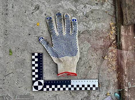 В российском городе ремонтник устроил дебош в квартире из-за своей плохой работы