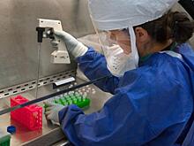 Красноярские ученые получат на исследования 60 миллионов рублей