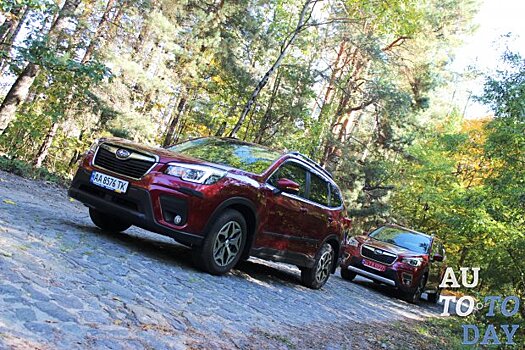 Экспресс-тест Subaru Forester: Он из лесу вышел