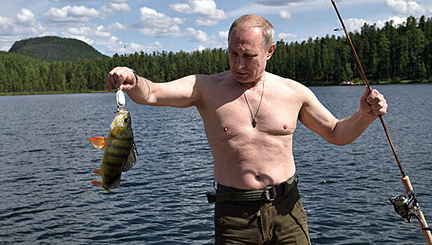 Пойманный Путиным на блесну окунь впечатлил иркутского рыбака