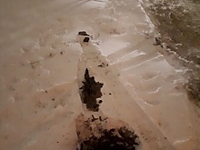 Житель Солнечного сообщил об опасных ямах, в которые проваливаются авто