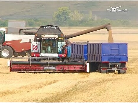 Более миллиона тонн зерна уже намолотили аграрии 63 региона
