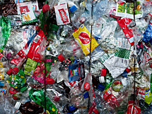 16 рублей за бутылку: "Зеленые" предлагают увеличить цену за сданный пластик