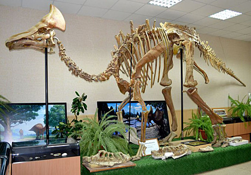 Экскурсии по Благовещенску: что интересного скрывает столица Приамурья?