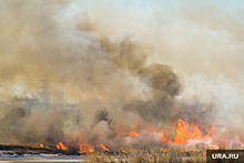 Координатор лесных пожарных Сухов: в РФ палочная система наказаний за возгорания