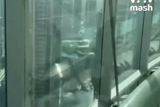 Появилось видео из квартиры в Дубае арестованного директора уральского института