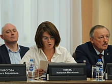 Новосибирского депутата Наталью Пинус лишат полномочий на заседании горсовета