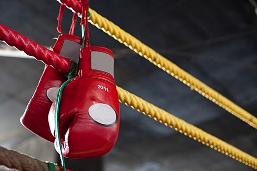 В Краснодаре прошла самая массовая тренировка по боксу