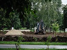 Три сквера и один парк продолжают ремонтировать в Курске