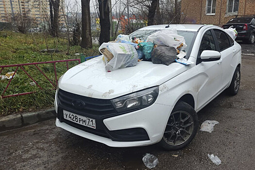 «Перформанс или инсталляция?»: туляки завалили мусором Lada Vesta за неправильную парковку