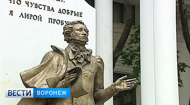 Мэрия Воронежа повторно объявила поиск подрядчика для ремонта памятника Пушкину