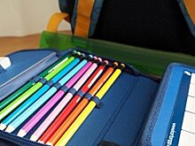 В реестр нуждающихся в помощи внесли 828 пензенских детей