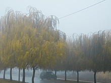 Волгоградцы обсуждают жалобу Журавеля, смертельное ЧП и плату за воду