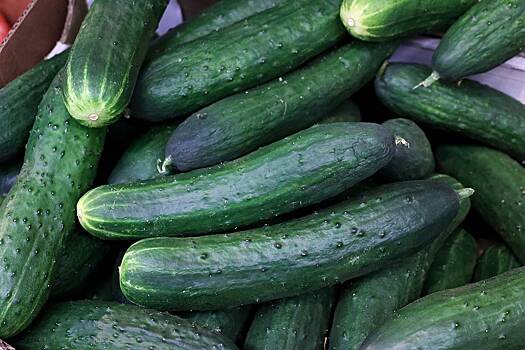 Сроки снижения цен на&nbsp;огурцы предсказали